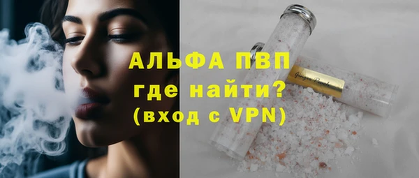 дурь Бородино