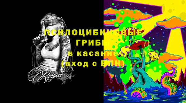 дурь Бородино