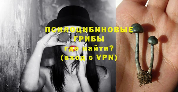 дурь Бородино